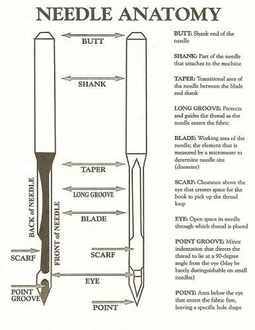Needle Anatomy 101