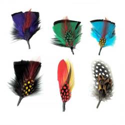 Where-to-Find-Feathers-for-Hats