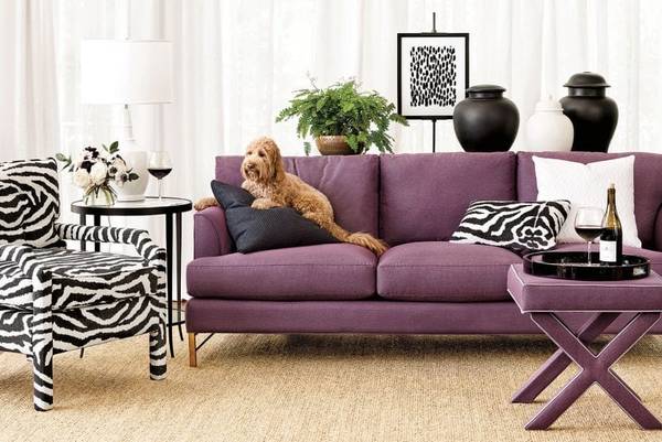 is polyester furniture good for dogs