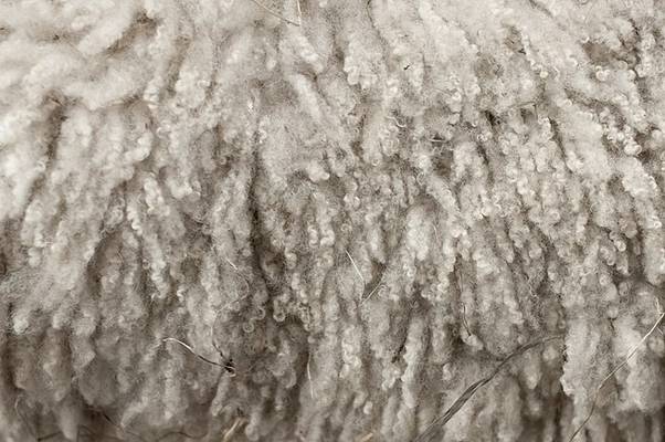 Acrylic-vs-Wool-11-Differences-Between-Acrylic-And-Wool