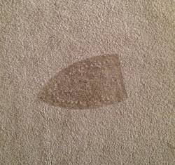 How-to-Remove-Iron-Marks-from-Carpet