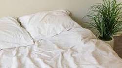 How-to-Soften-Pima-Cotton-Sheets